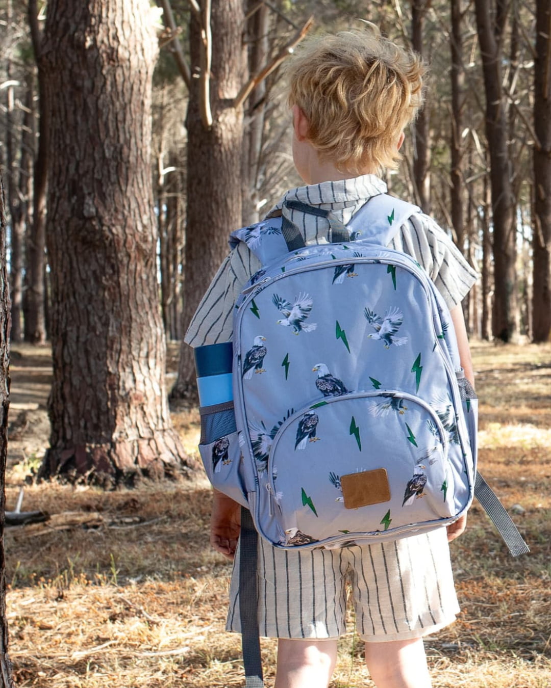 Rear view of boy wearing light blue eagle print small backpack with ample storage and water bottle side pocket.