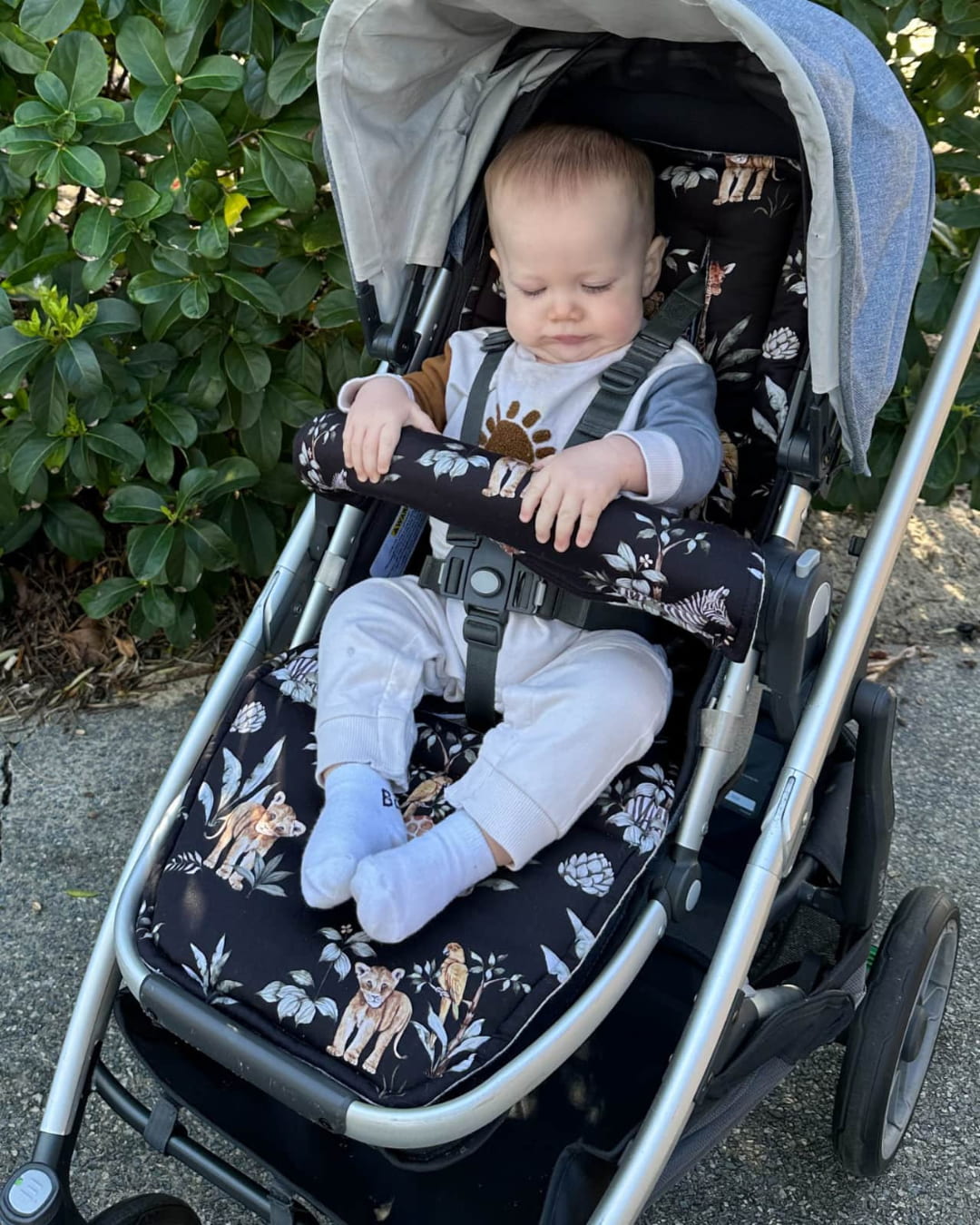 Reed-uppababy pram 
