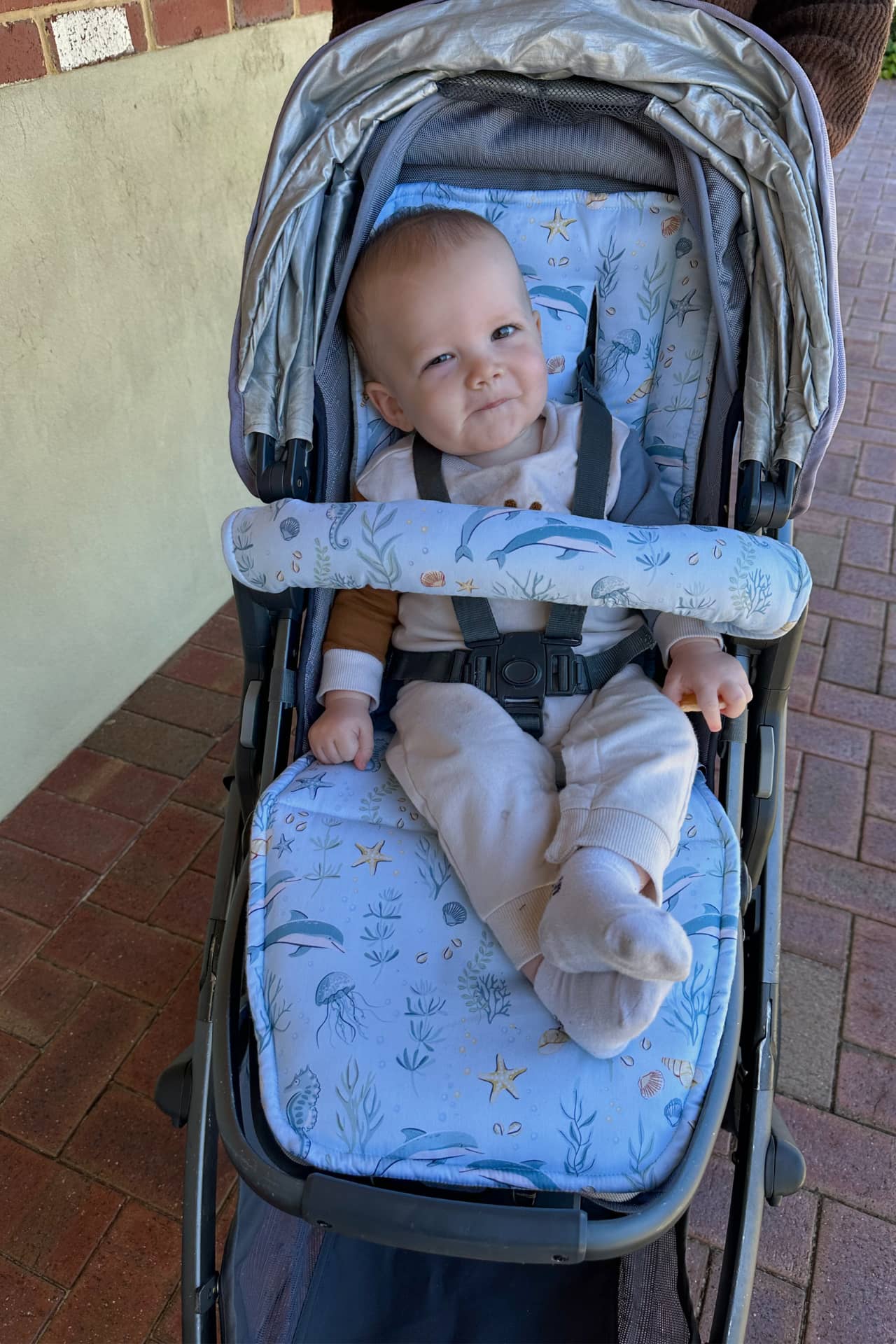 Universal Pram Liner - COVE