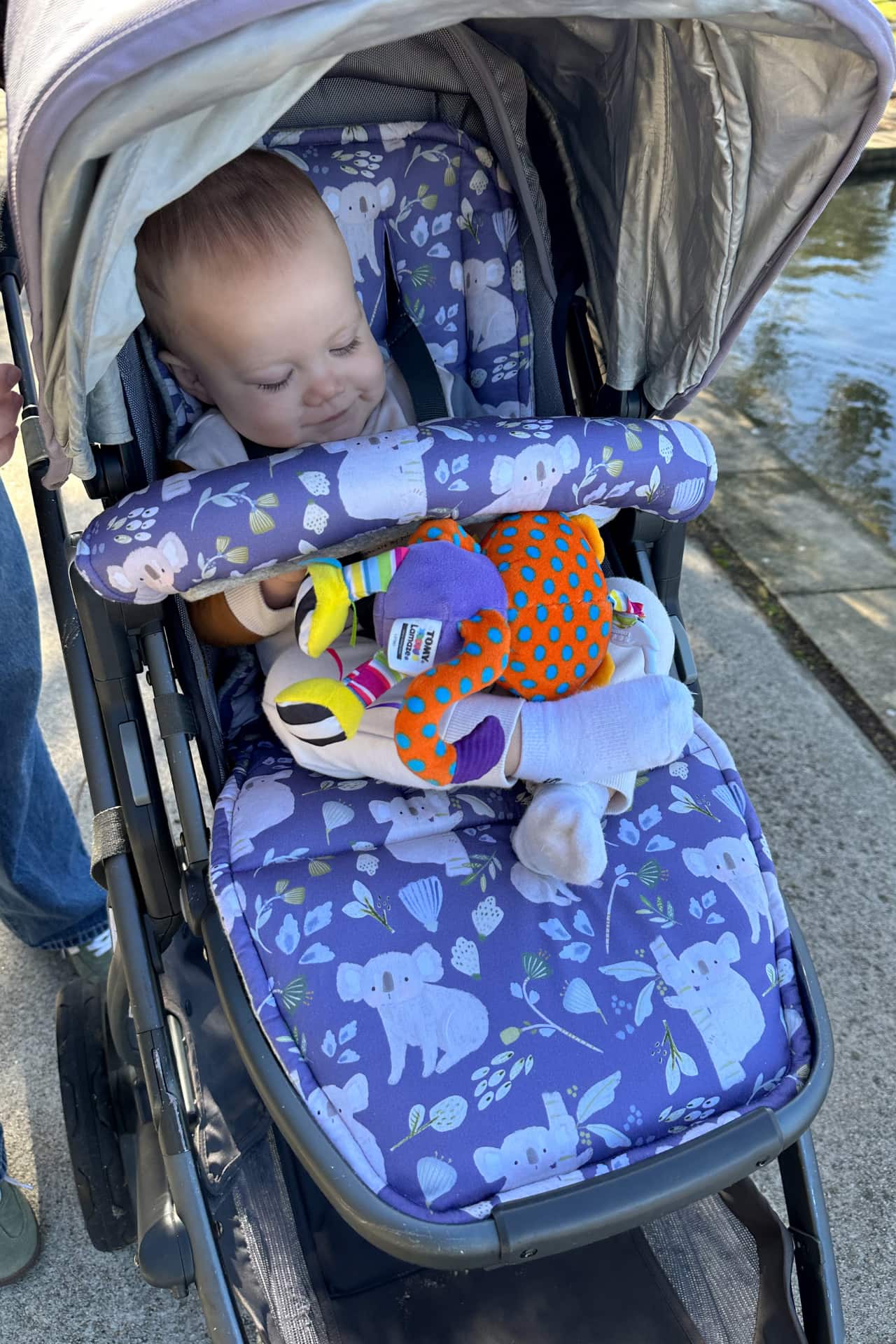 babyboy in a pram 