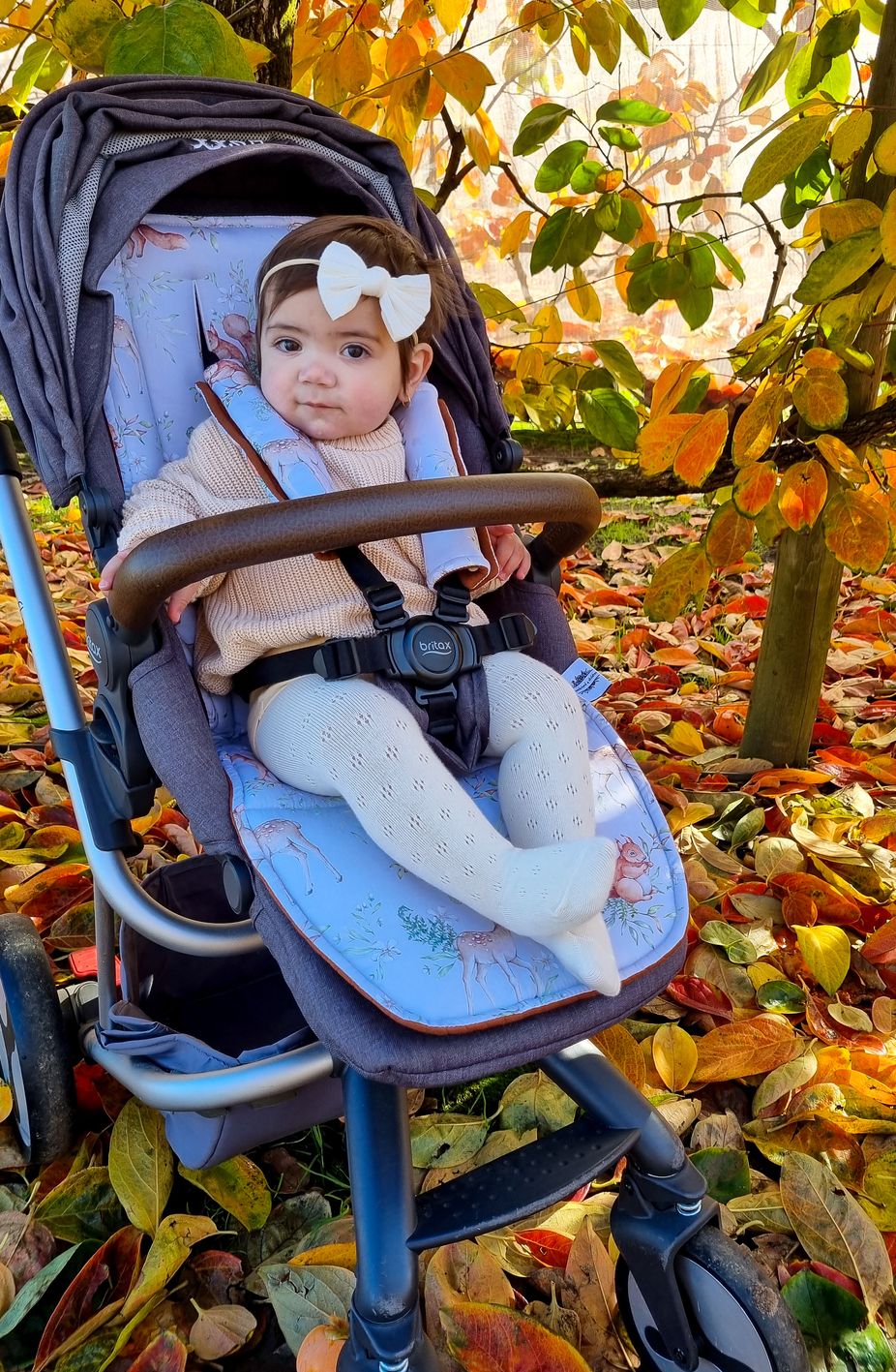 Wonderland 2024 shop prams